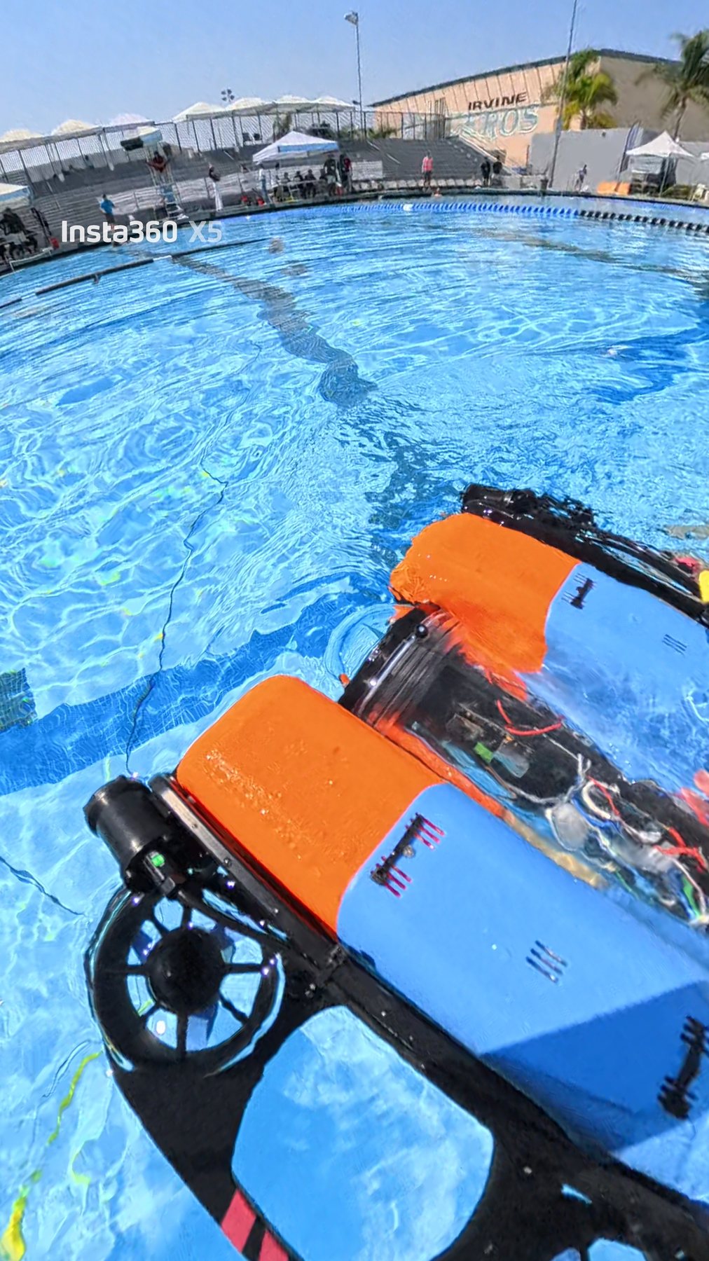 Sir. Swims-A-Lot in the Irvine competition pool